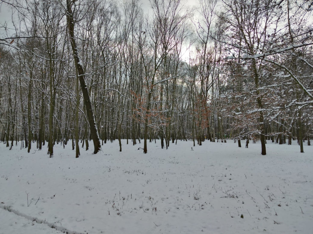Śnieg zasypał Tarnów, teraz czas na mróz. Będzie PRZEŹLIWIE zimno