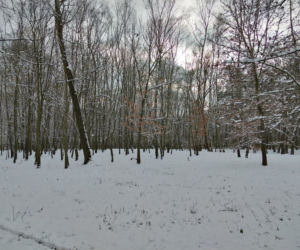 Śnieg zasypał Tarnów, teraz czas na mróz. Będzie PRZEŹLIWIE zimno