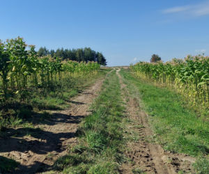 52. Rajd Miłośników Roztocza