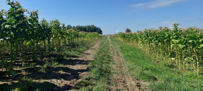 52. Rajd Miłośników Roztocza