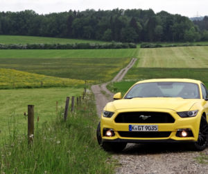 Ford Mustang GT 5.0 V8