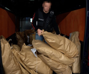 Bydgoszcz: Prawie 80 kilogramów narkotyków poszło z dymem! 