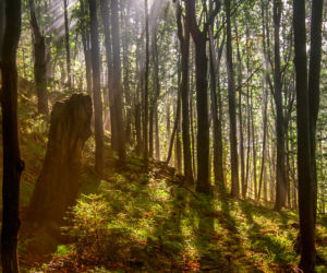 Bieszczady