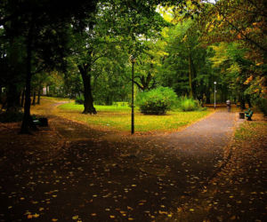 Park Piastowski