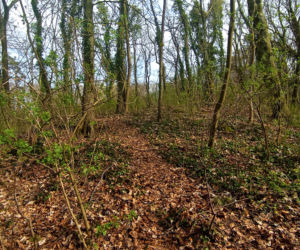 Wieża Baresela nad Jeziorem Szmaragdowym