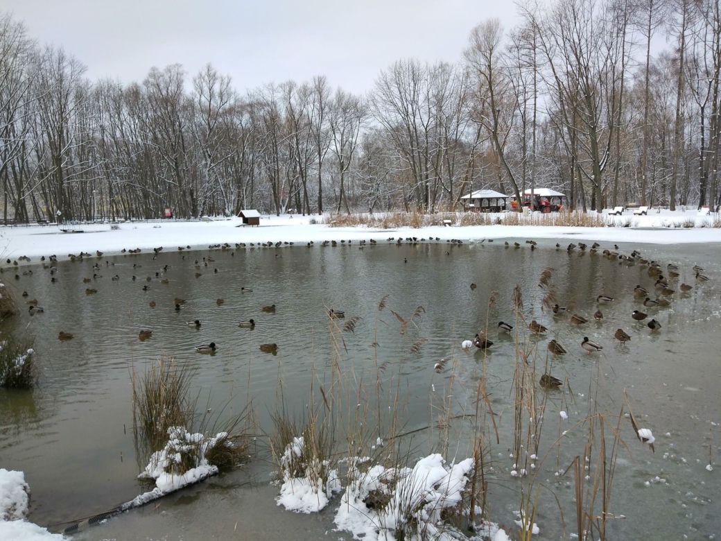 Śnieg zasypał Tarnów, teraz czas na mróz. Będzie PRZEŹLIWIE zimno