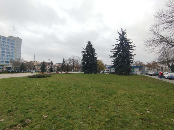 Choinka miejska Siedlce