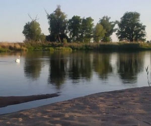 Wyprawa kajakiem w dół Odry