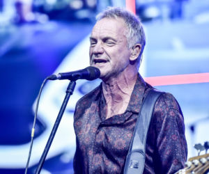 Sting bez miodu nie wystąpi