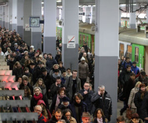 Auta dla prezesa za pół miliona