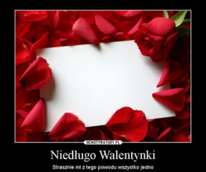 Walentynki memy