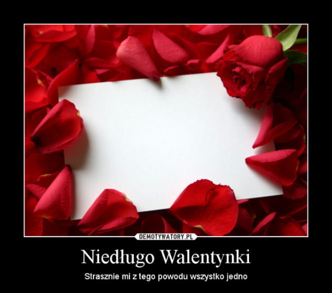 Walentynki memy