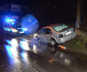 Podkarpackie. Pijany kierowca sprawcą kolizji drogowej [ZDJĘCIA]