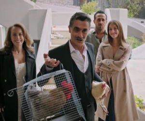 Złoty chłopak, odcinek 256