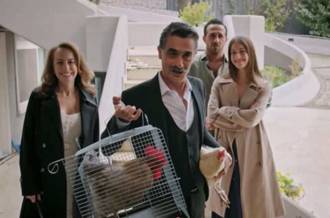 Złoty chłopak, odcinek 256