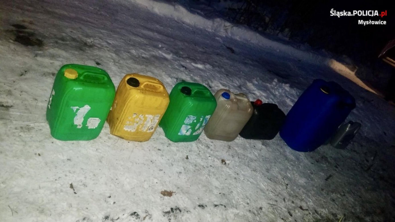Policjanci przyłapali ich, gdy robili TO w lesie. Teraz grozi im 5 lat więzienia!