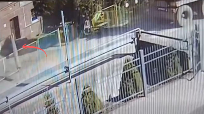 Sceny jak z "Oszukać przeznaczenie" pod szkołą! Kłoda drewna spadła tuż przy wejściu