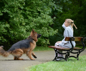 Komisarz Alex 4 sezon odcinek 47 (odc. 8)