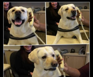 Tych memów o teściowych nie pokażesz mamie! Internauci nie mają litości