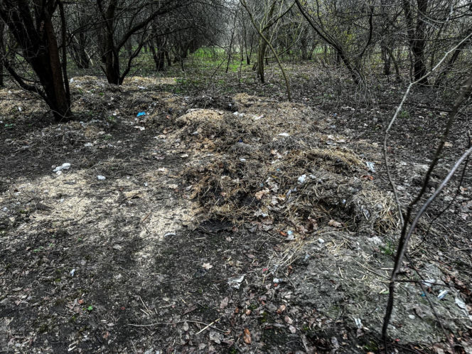 Zabrali dzieciom psa jak rzecz