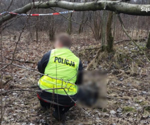 Zabrze: W biskupickim lesie znaleziono zwłoki mężczyzny! To najprawdopodobniej zaginiony Andrzej R.