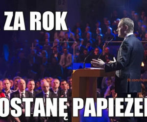 Donald Tusk wrócił do polskiej polityki. Internet OSZALAŁ, zobacz najlepsze memy!