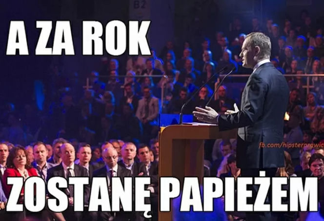 Donald Tusk wrócił do polskiej polityki. Internet OSZALAŁ, zobacz najlepsze memy!