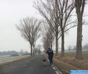 Pies zamarzał na środku drogi. Uratowali go w ostatniej chwili!