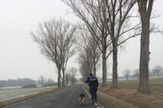 Pies zamarzał na środku drogi. Uratowali go w ostatniej chwili!