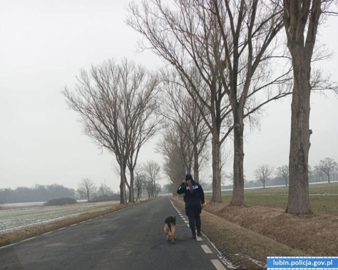 Pies zamarzał na środku drogi. Uratowali go w ostatniej chwili!