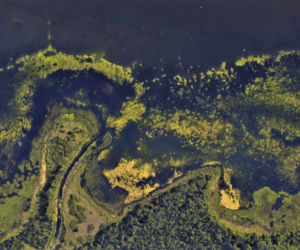 Szczecin w szczególe według Google Earth