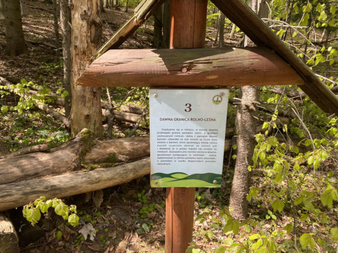 Wodospad Magurski