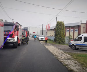 Śląskie. Tragiczny finał poszukiwań 58-latki. Ciało znaleziono w lesie [ZDJĘCIA]