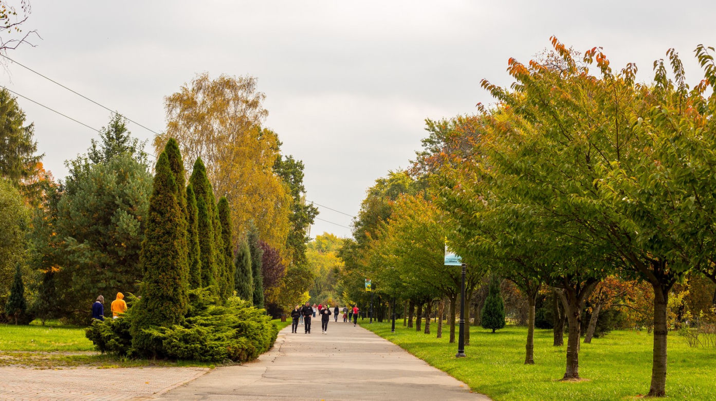 Park Śląski jesienią jest naprawdę piękny