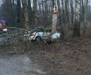 Wypadek w Żołyni