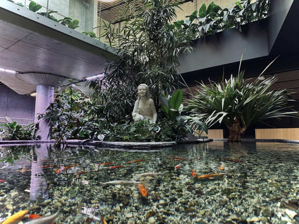 Nowe Egzotarium w Sosnowcu