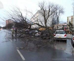 Wichura w Łódzkiem 17.02