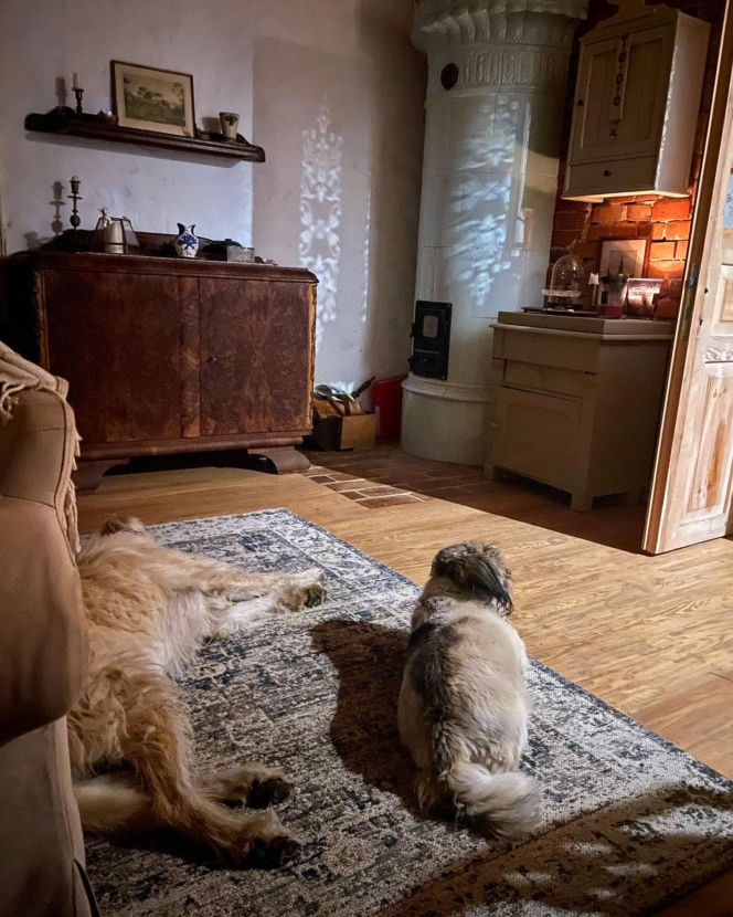 Metamorfoza Domu pod królikiem