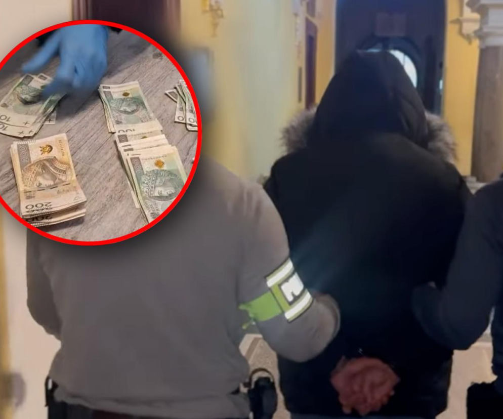 Piramida finansowa na rynku kryptowalut rozbita! Sześć osób zatrzymanych