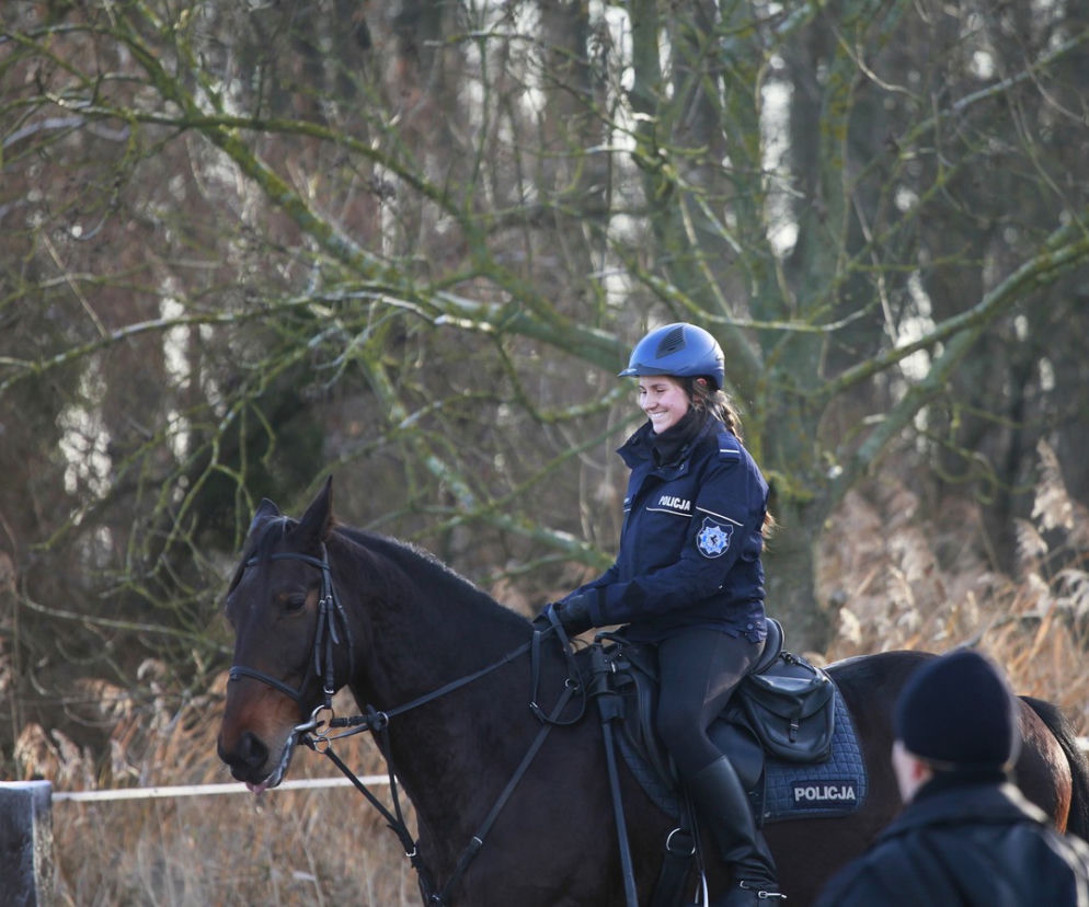 Policja konna z Poznania ma nowego współpracownika