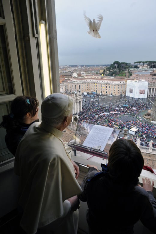 Gołąbek zwiał przed papieżem 