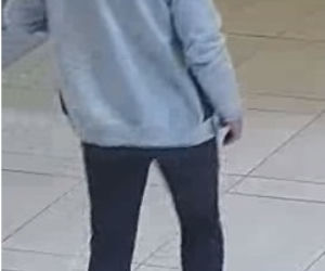 Okradli sklep w Zielonych Arkadach. Teraz szuka ich policja!