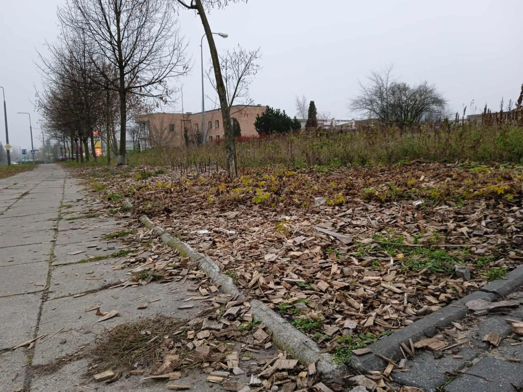 Park kieszonkowy w Siedlcach przy ul. Jagiełły
