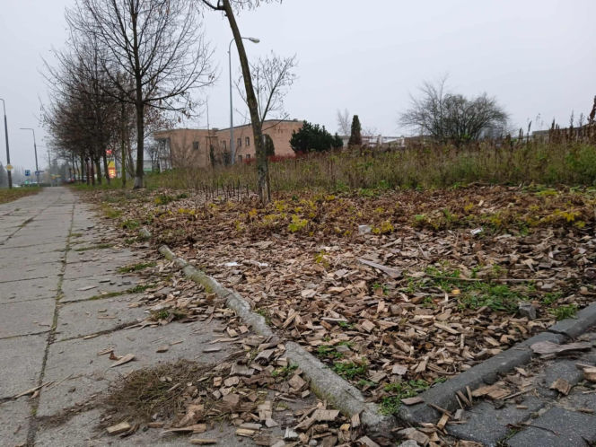 Park kieszonkowy w Siedlcach przy ul. Jagiełły