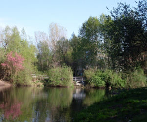 Park Zadole