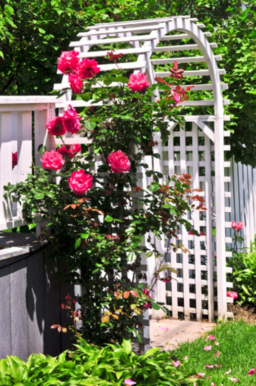 Pergola ogrodowa