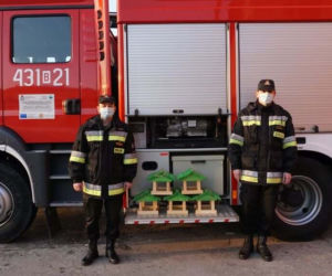 Strażacy z Hajnówki kupili kilkanaście karmników. Pomogą nie tylko ptakom [ZDJĘCIA]