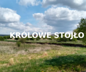Królowe Stojło