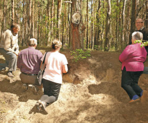 Matka Boska na drzewie