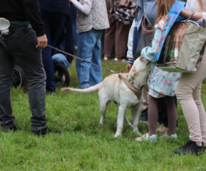 XIII Piknik Przyjaciół Schroniska w Toruniu. Fotorelacja z imprezy